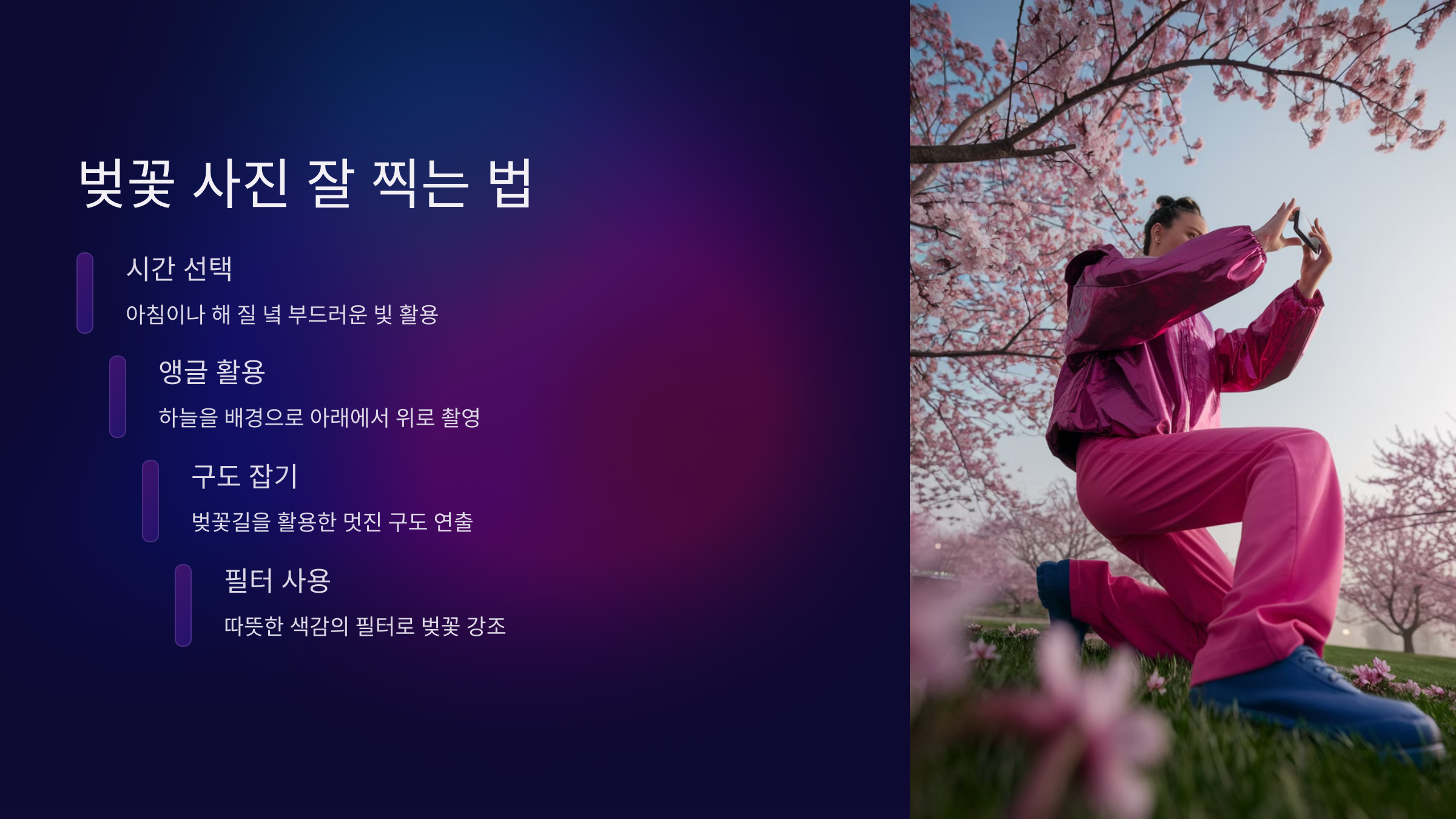 벚꽃 사진 잘 찍는 법