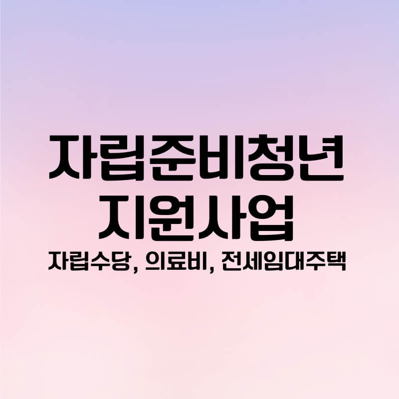 자립준비청년 지원사업(자립수당, 의료비 지원, 전세임대주택)