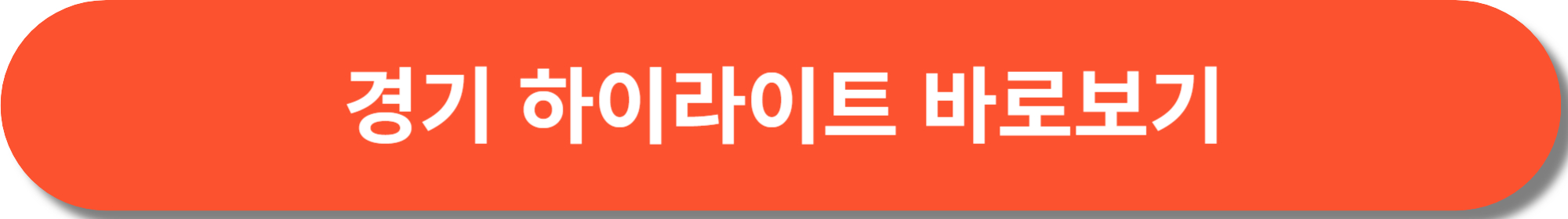 하이라이트