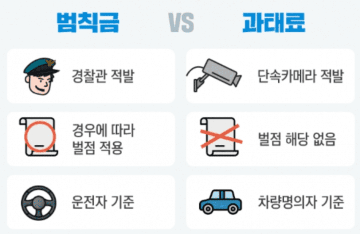 자동차 과태료 조회 방법 차량번호로 1분 간편 확인하기