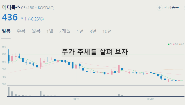 대마 마리화나 관련주 TOP7