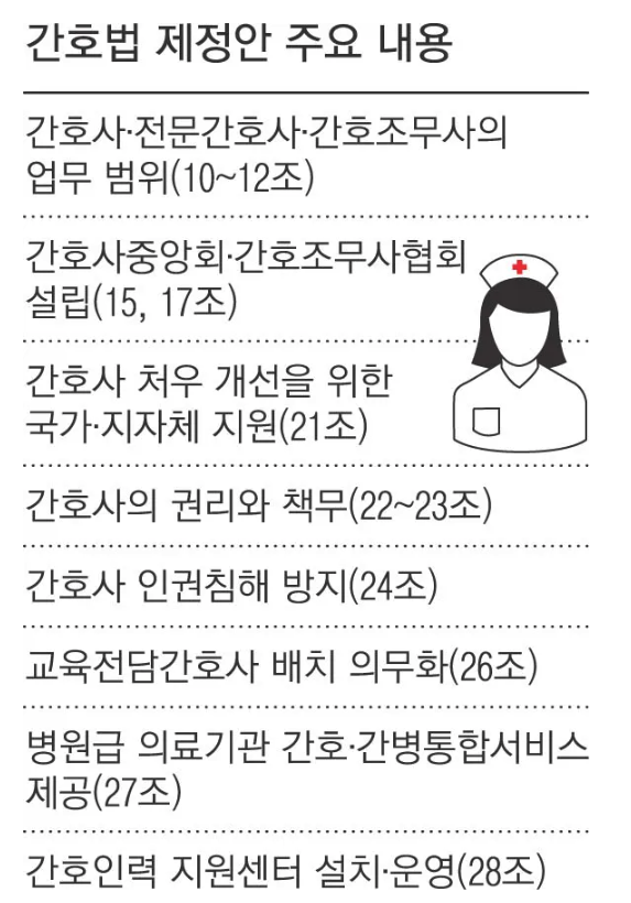 간호법의 주요 내용