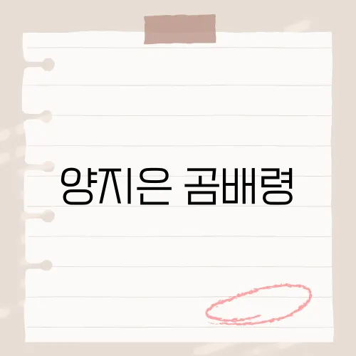 양지은 곰배령, 그녀의 맑은 목소리로 전하는 자연의 아름다움