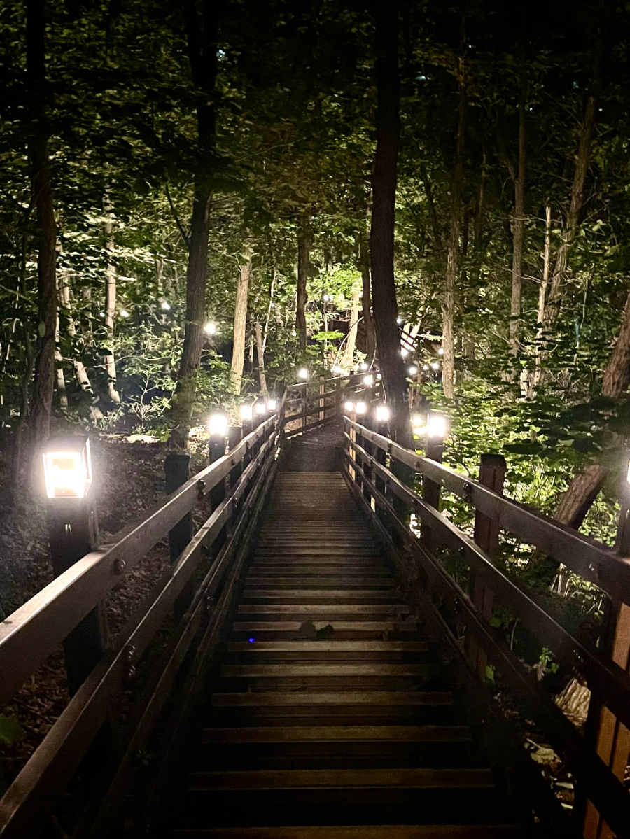 오크밸리 소나타 오브 라이트3