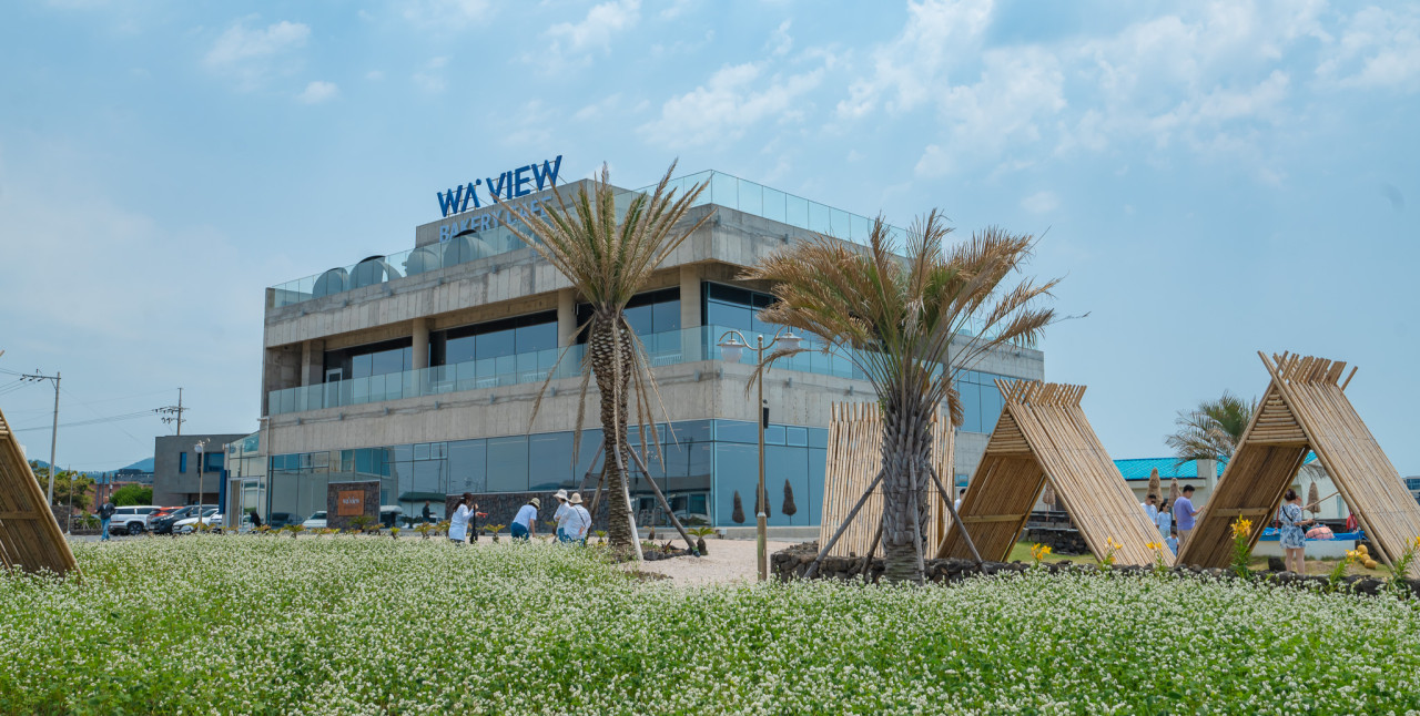 웨이뷰 메밀꽃축제