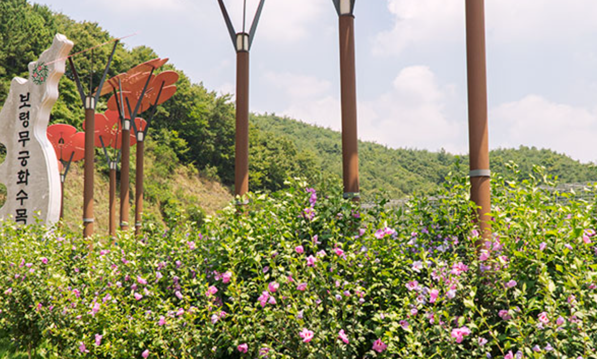 보령 해저터널 통행료