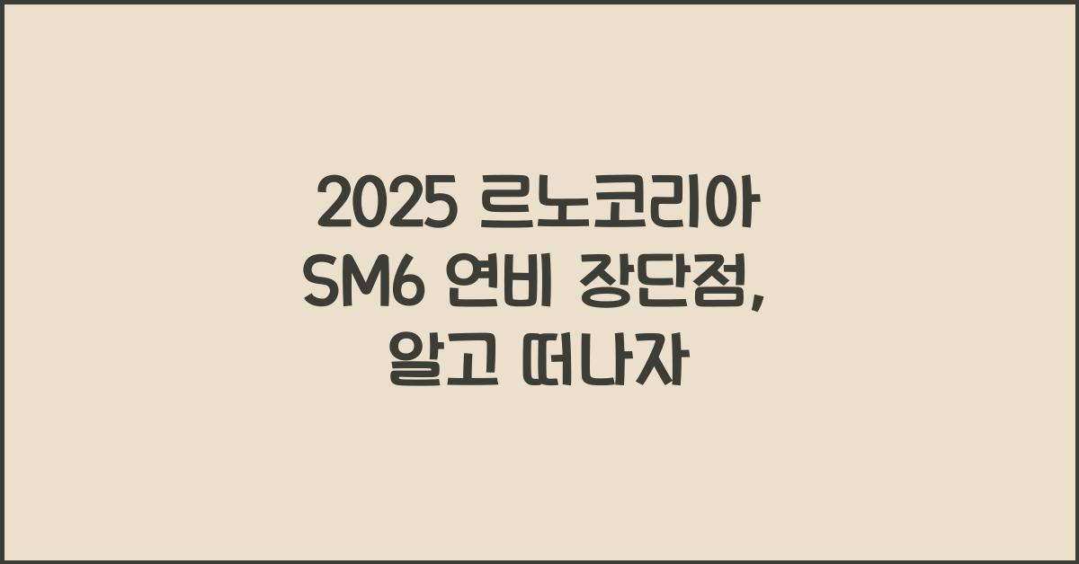 2025 르노코리아 SM6 연비 장단점