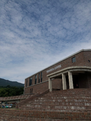 테라로사 커피공장 강릉본점