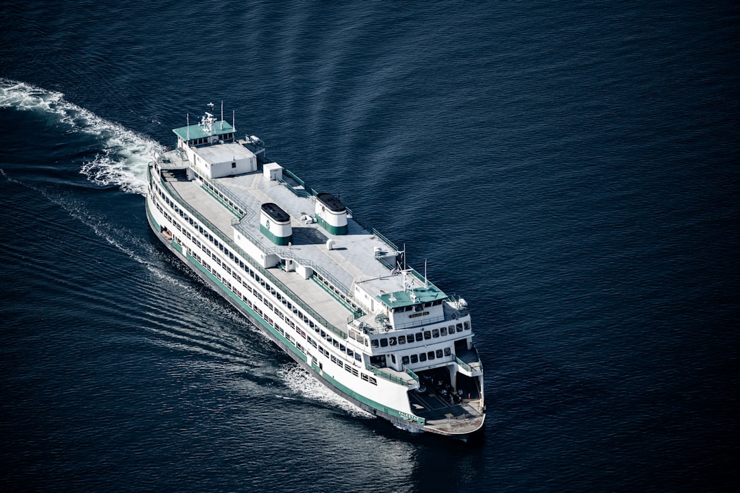 Cruise