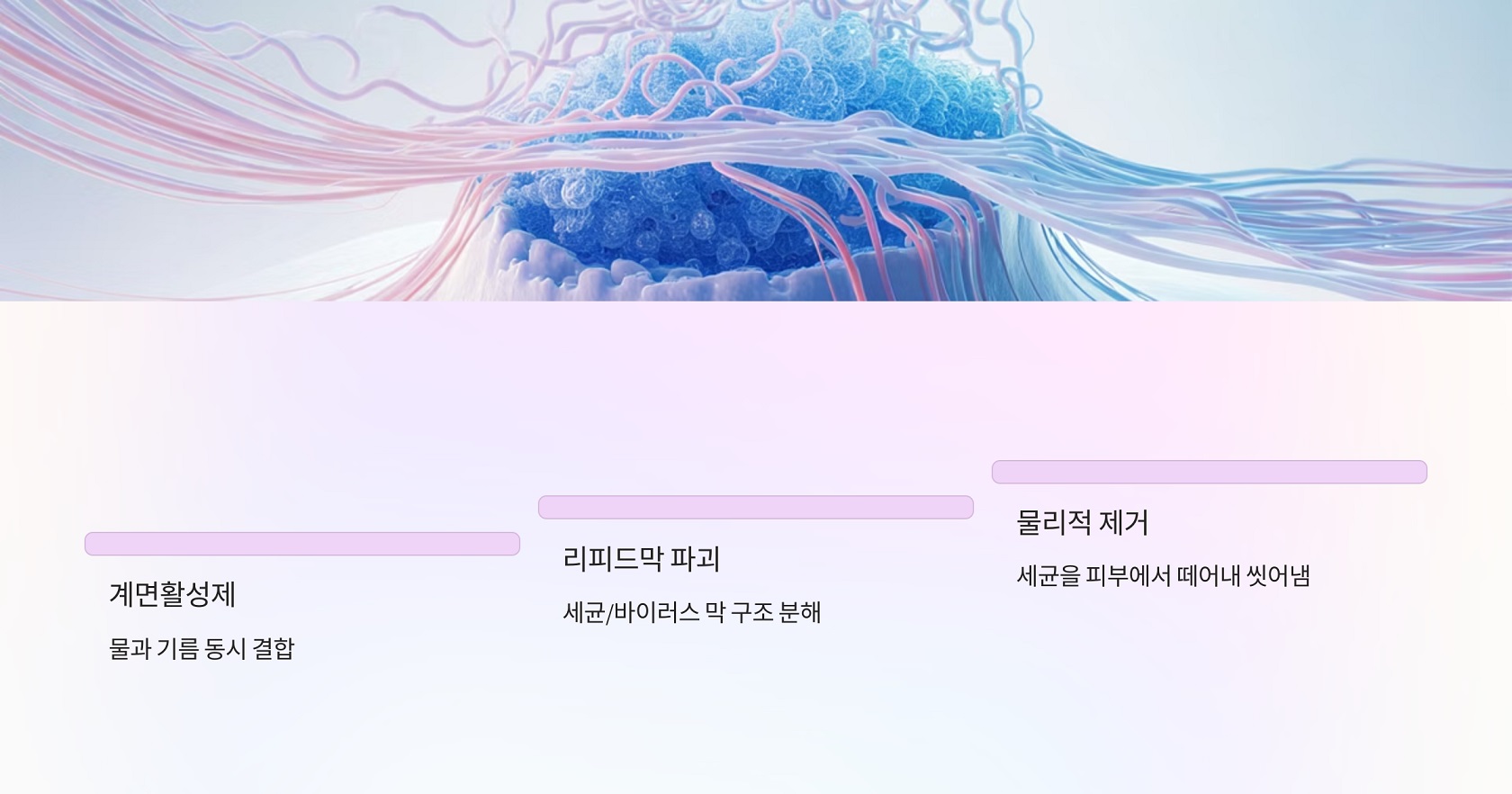 비누가 세균을 없애는 원리