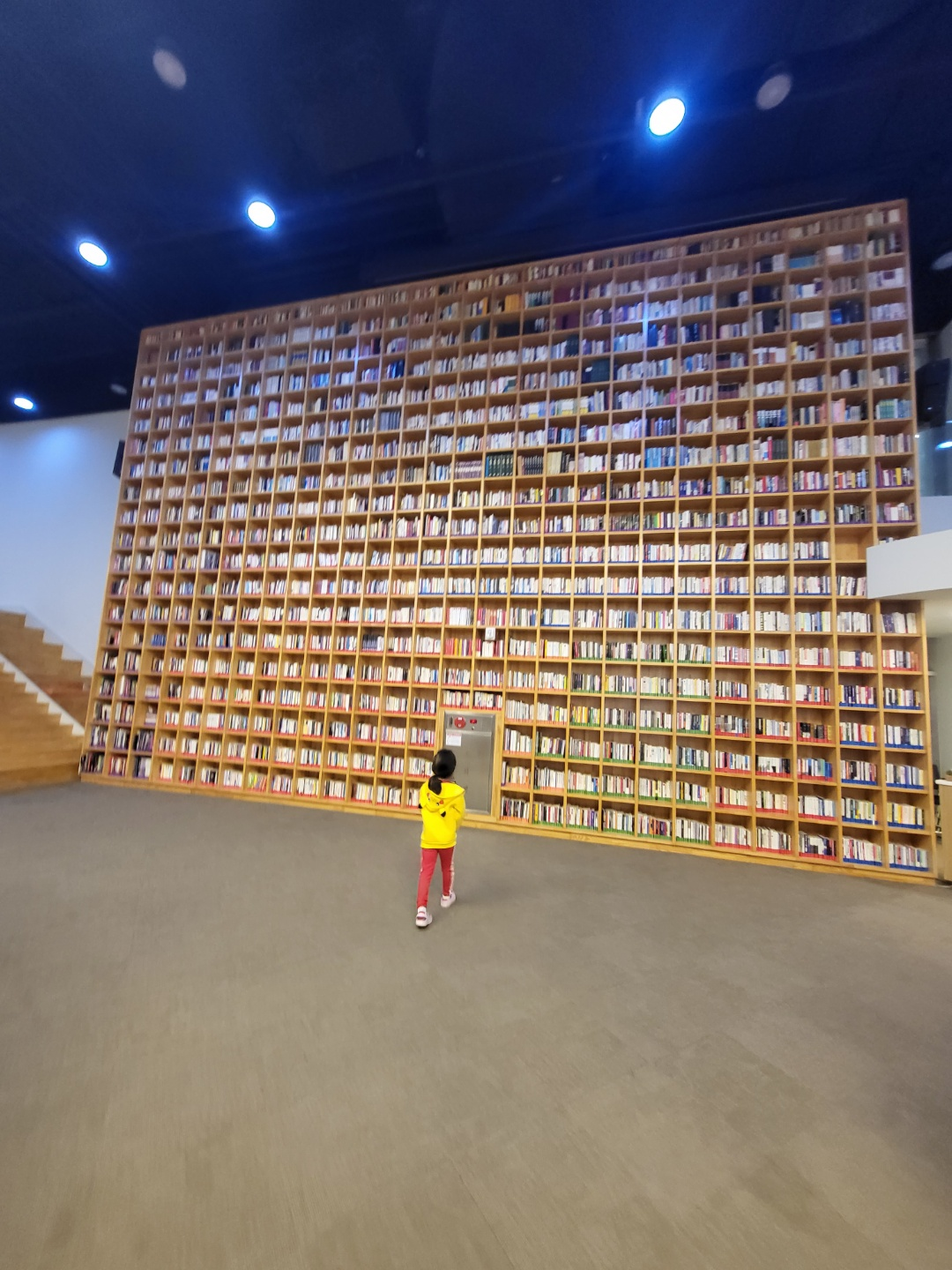 세종 지혜의숲(세종 도서관)