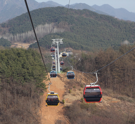 봄꽃 기차여행 (벚꽃기차)코스 및 금액 정리