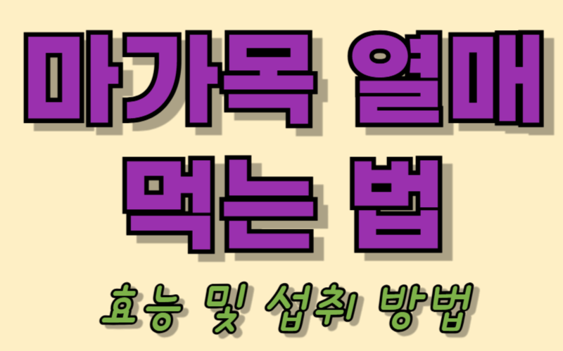 마가목 열매 먹는 법