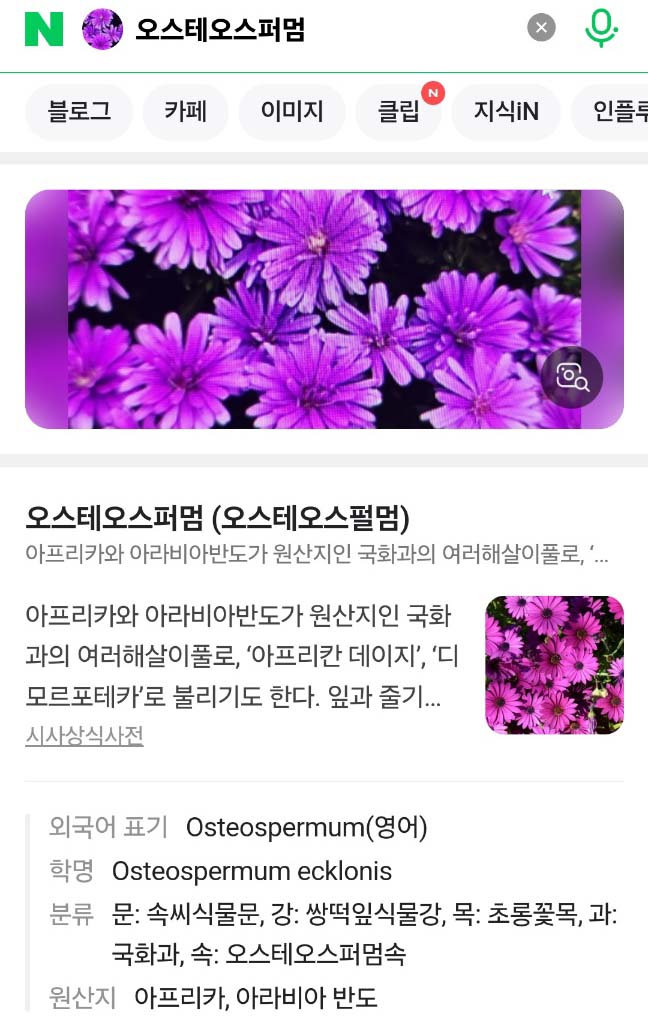 Alt 속성 문제 해결 설명 이미지