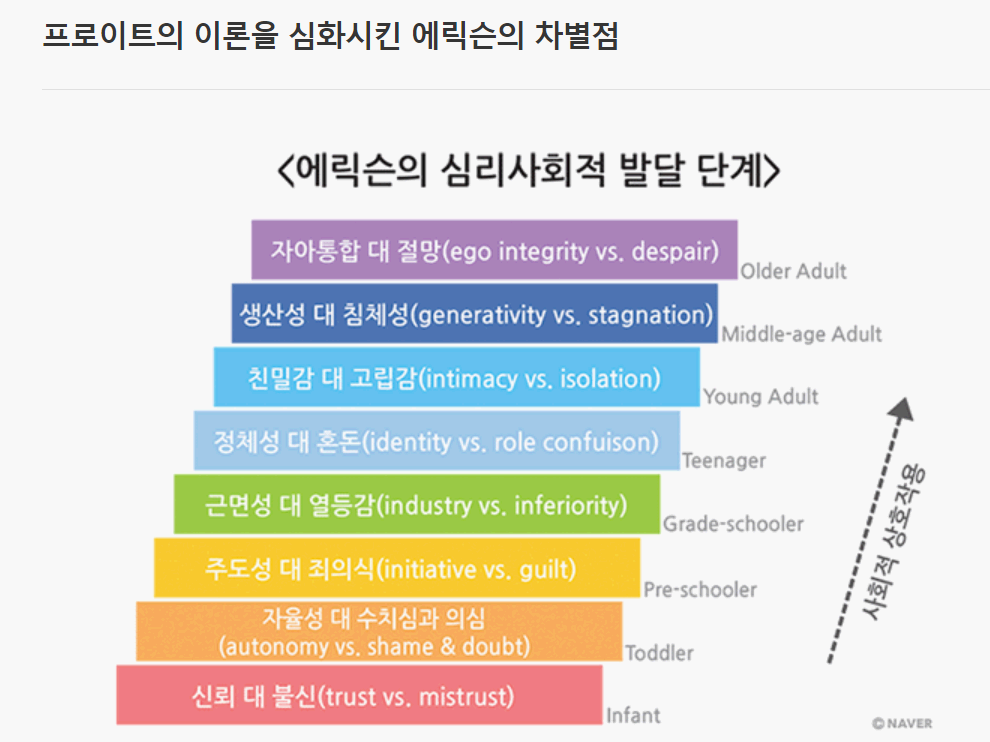 에릭슨의 심리 사회적 발달 이론