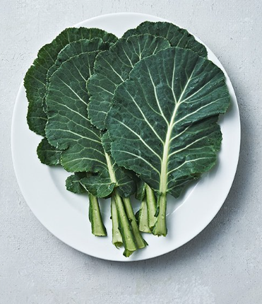 쌈케일, 영양 가득한 건강 채소