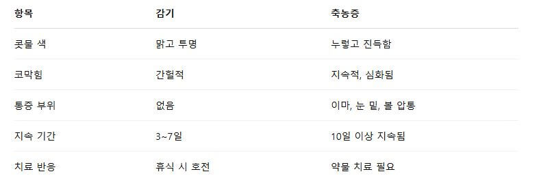 코막힘 계속된다면 꼭 보세요! 축농증 원인 중 1위는 다름 아닌 이것