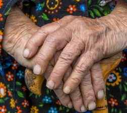 알츠하이머병 증상 원인 예방 가이드북