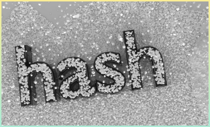 Hash와 salt가 뿌려진 문자 이미지.