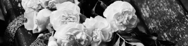 명언 모음: 감사는 삶의 기쁨을 두 배로 만든다