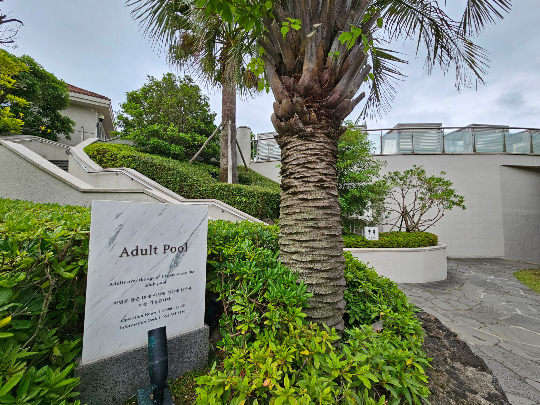 제주 신라호텔 어덜트풀