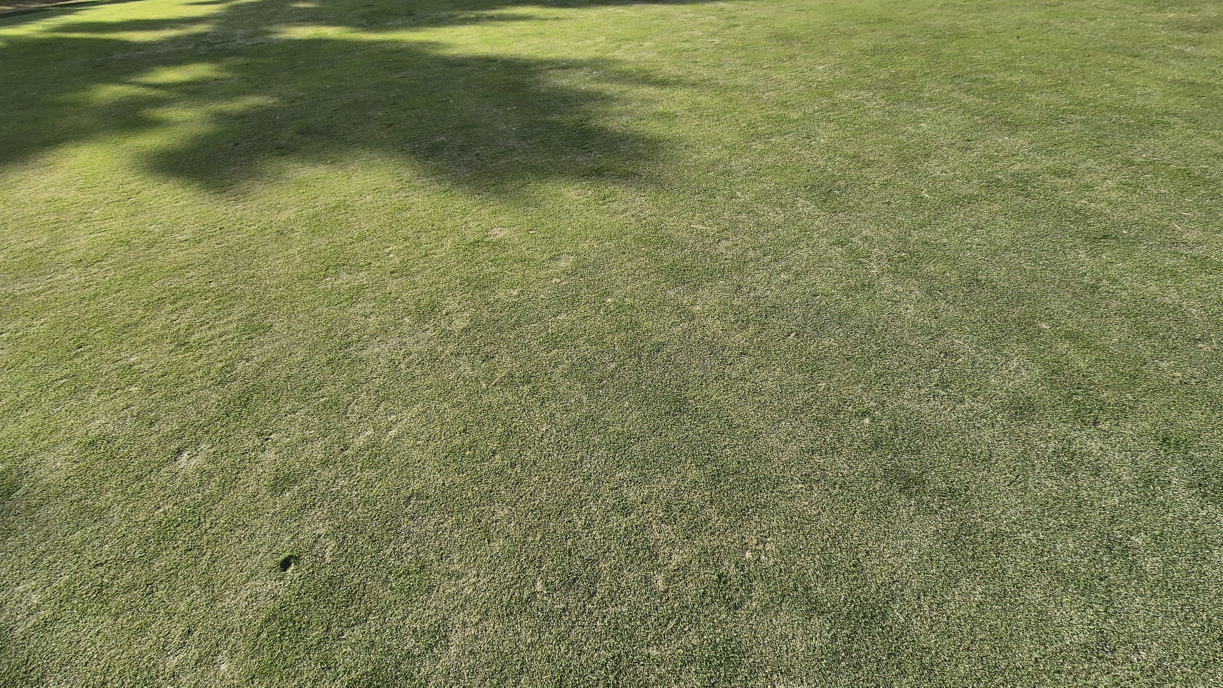 세종에머슨cc 밸리-마운틴 그린관리상태