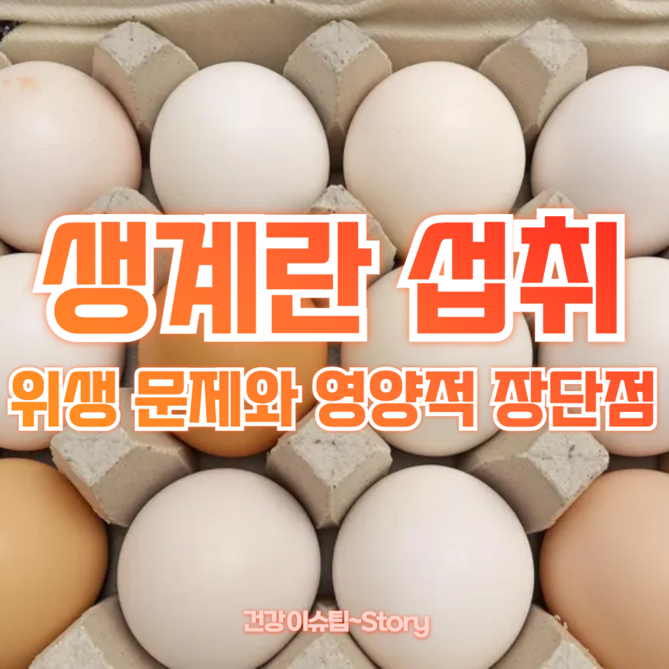 생계란 섭취