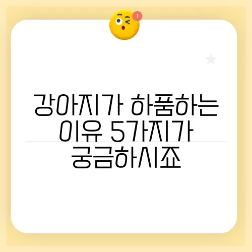 강아지가 하품하는 이유 5가지가 궁금하시죠