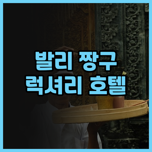 발리 짱구 호텔 투구 발리 후기 럭셔..