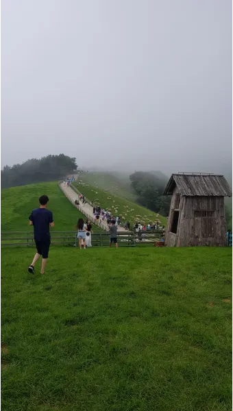 평창 가볼만한곳 베스트10 현지인 추천 필수코스_14