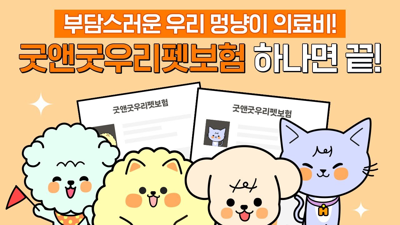 현대해상-펫보험