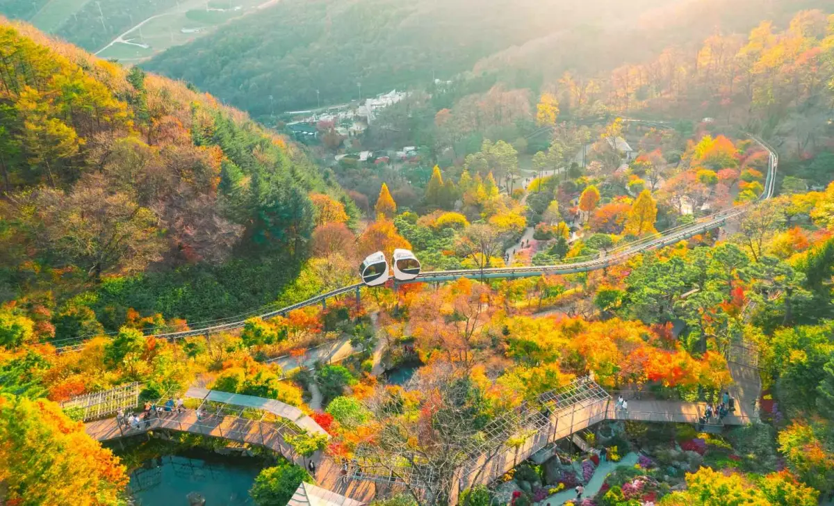 화담숲 가을전경