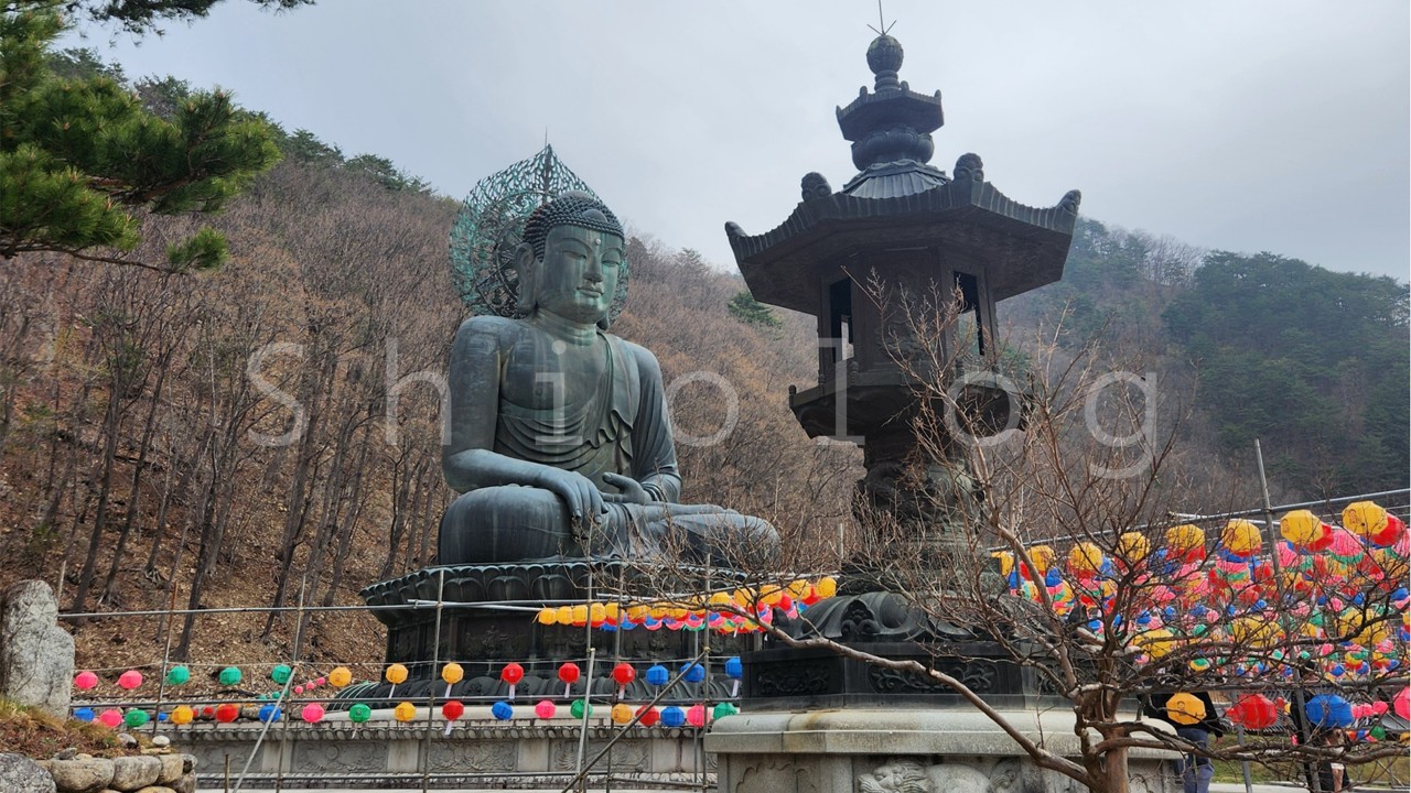 신흥사 입구의 거대한 청동좌불상 앞에 사월 초파일을 기념하여 알록달록하게 매달린 연등들이 화려하게 수놓아진 모습