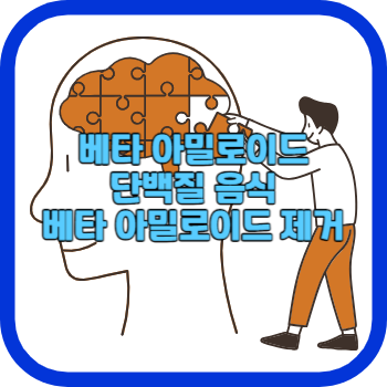 베타 아밀로이드 단백질 음식 베타 아밀로이드 제거