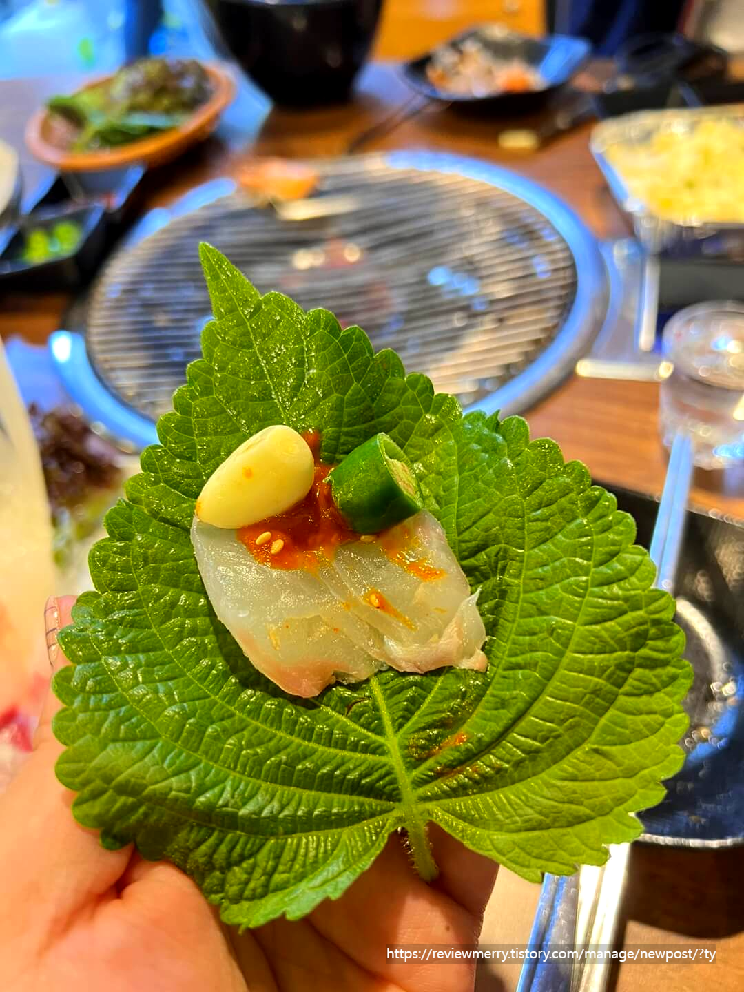 회 쌈사진