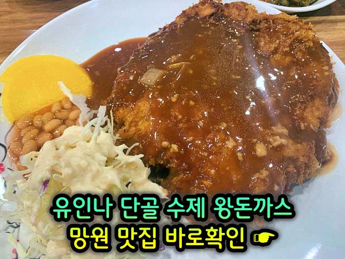 전참시 전지적 참견 시점 마포 망원 단골식당 수제 왕돈까스 맛집