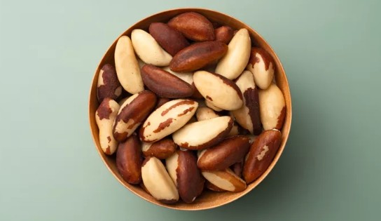 브라질너트(브라질넛) 효능 및 부작용, 하루 섭취량, 셀레늄함량, 먹는방법, 보관방법