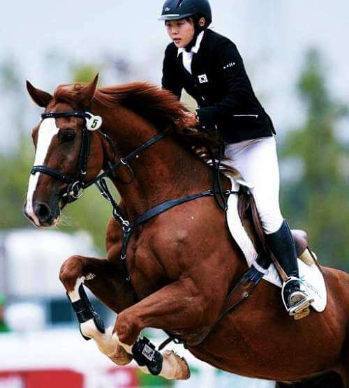 실시간 스포츠 무료 중계 시청 사이트(구구, 쿨, 텐, 블루, 콕TV)