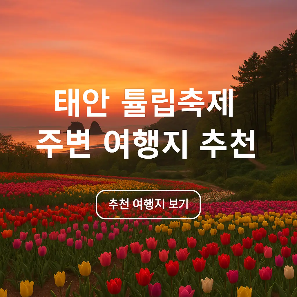 태안 튤립축제 주변 여행지 추천 TOP 5