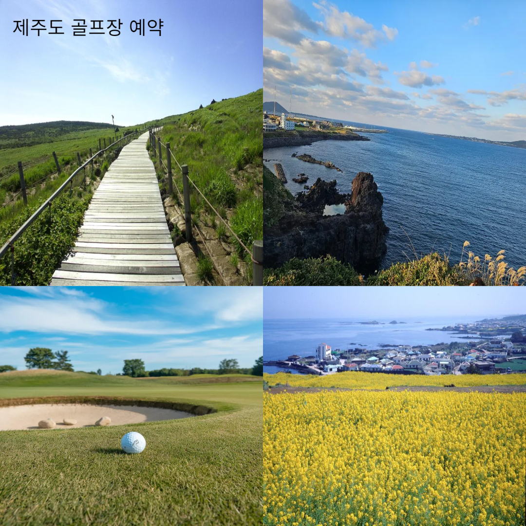 제주도 충경