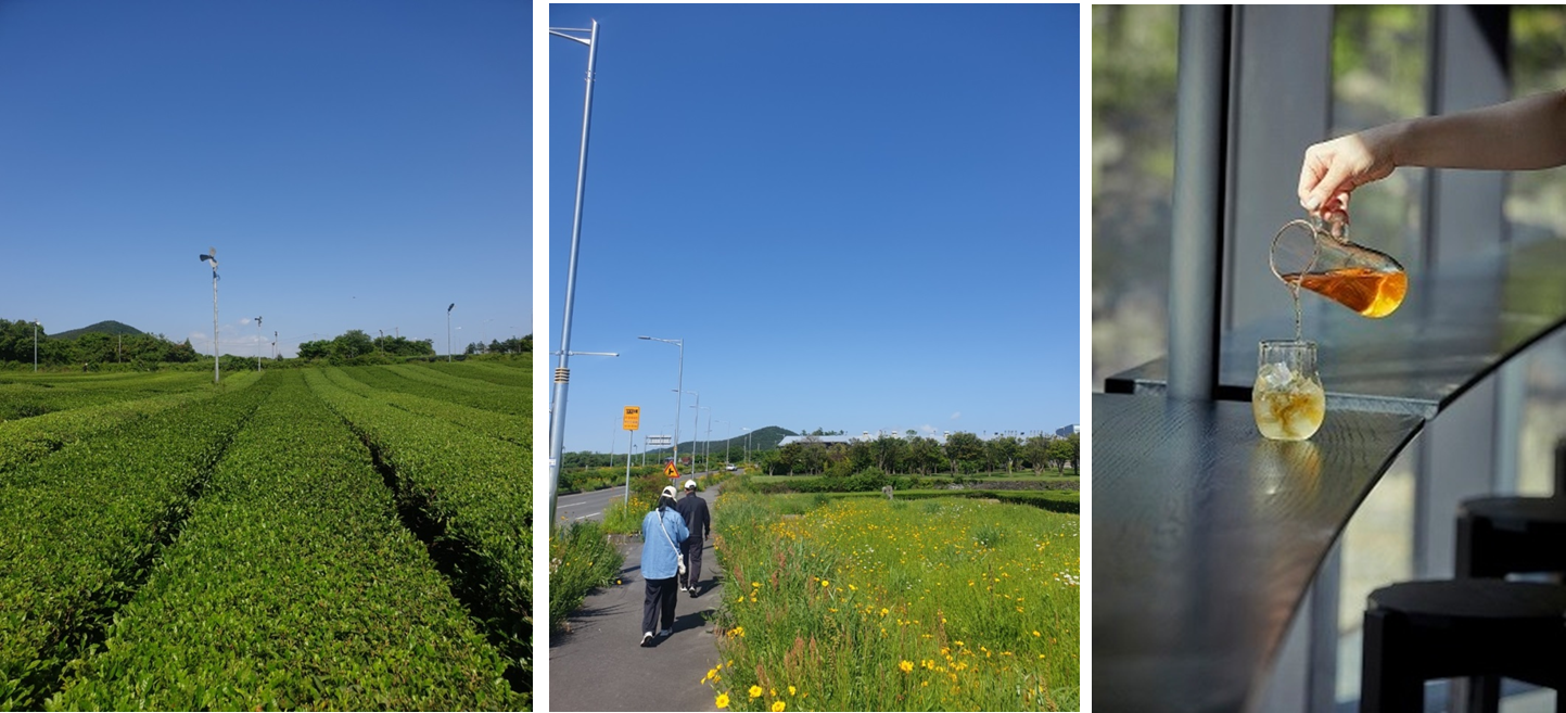 오설록 티 뮤지엄 이미지