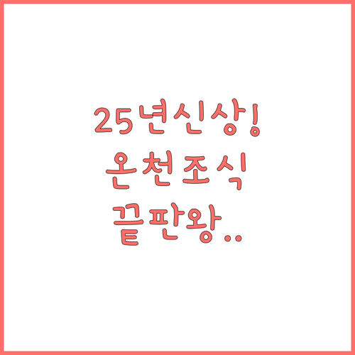 오타루 호텔 비교 2025 신상 숙소..