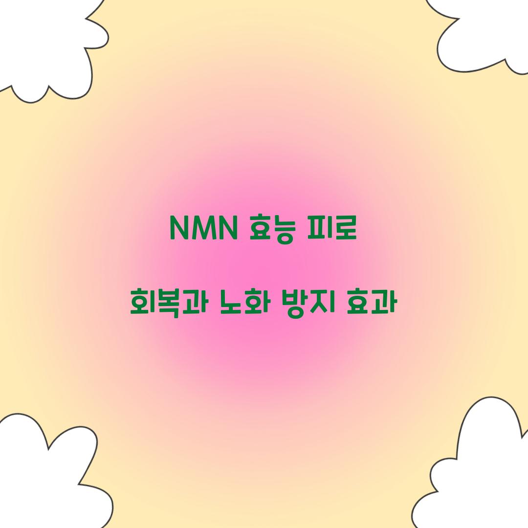 NMN 효능