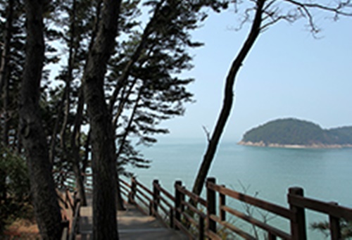 태안 가볼만한곳