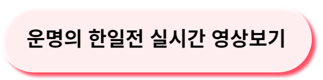 실시간영상보기