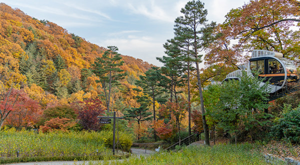 2024 가을 캠핑 준비물