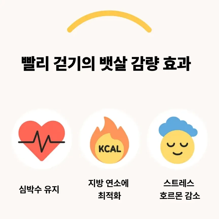 중강도 운동의 장점을 아이콘으로 보여주는 인포그래픽.