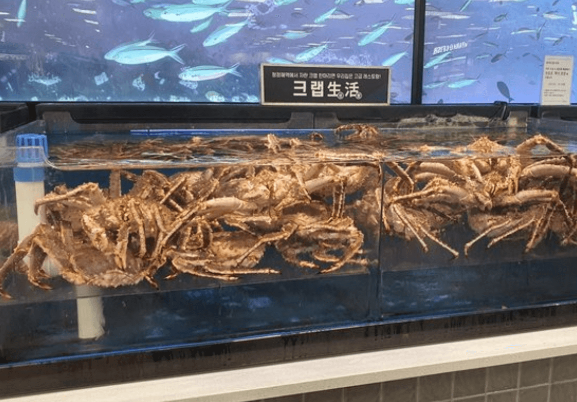 킹크랩 시세 조회