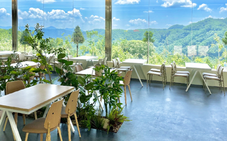 홍천 알파카월드