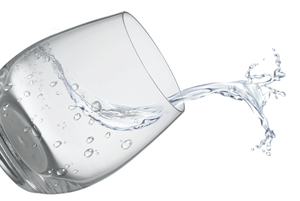 대장에 좋은 음식12